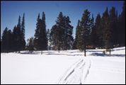 Cross Country Skiing